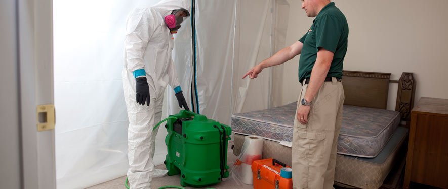 Gary, IN mold removal process